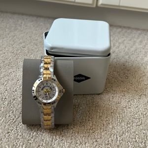 University of Michigan Fossil Watch